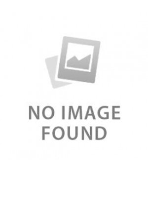 Elf civilization in the apocalypse